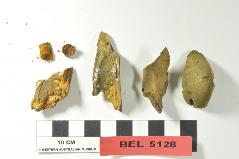 BEL5128 Animal artefact recovered from Belinda