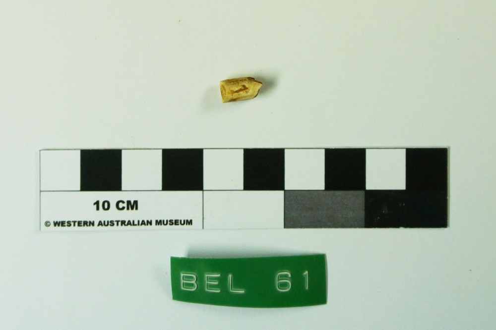 BEL61 Clay pipes artefact recovered from Belinda