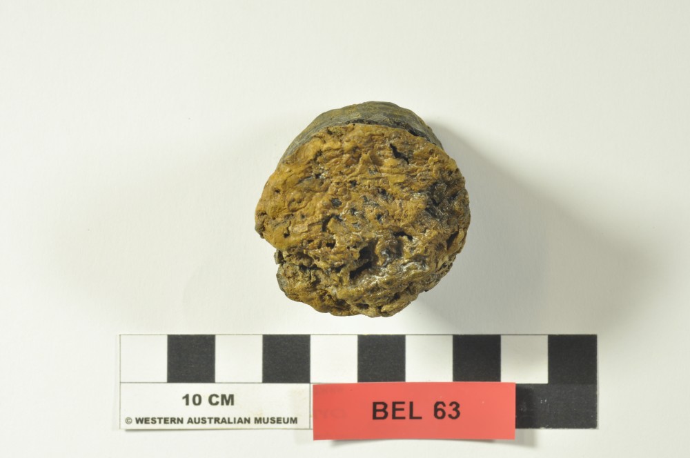 BEL63 Bark/bamboo artefact recovered from Belinda