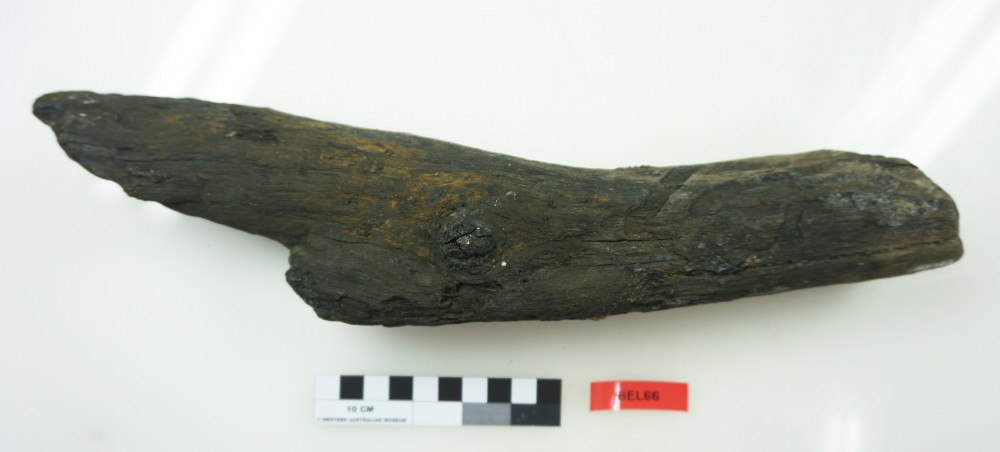 BEL66 Dunnage artefact recovered from Belinda