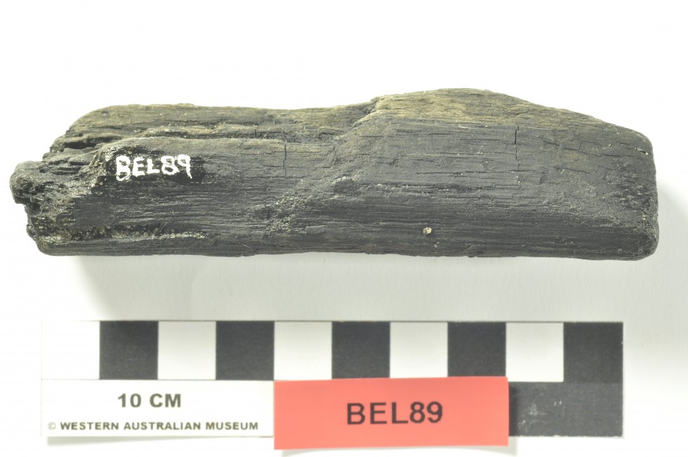 Ship's structure artefact recovered from Belinda