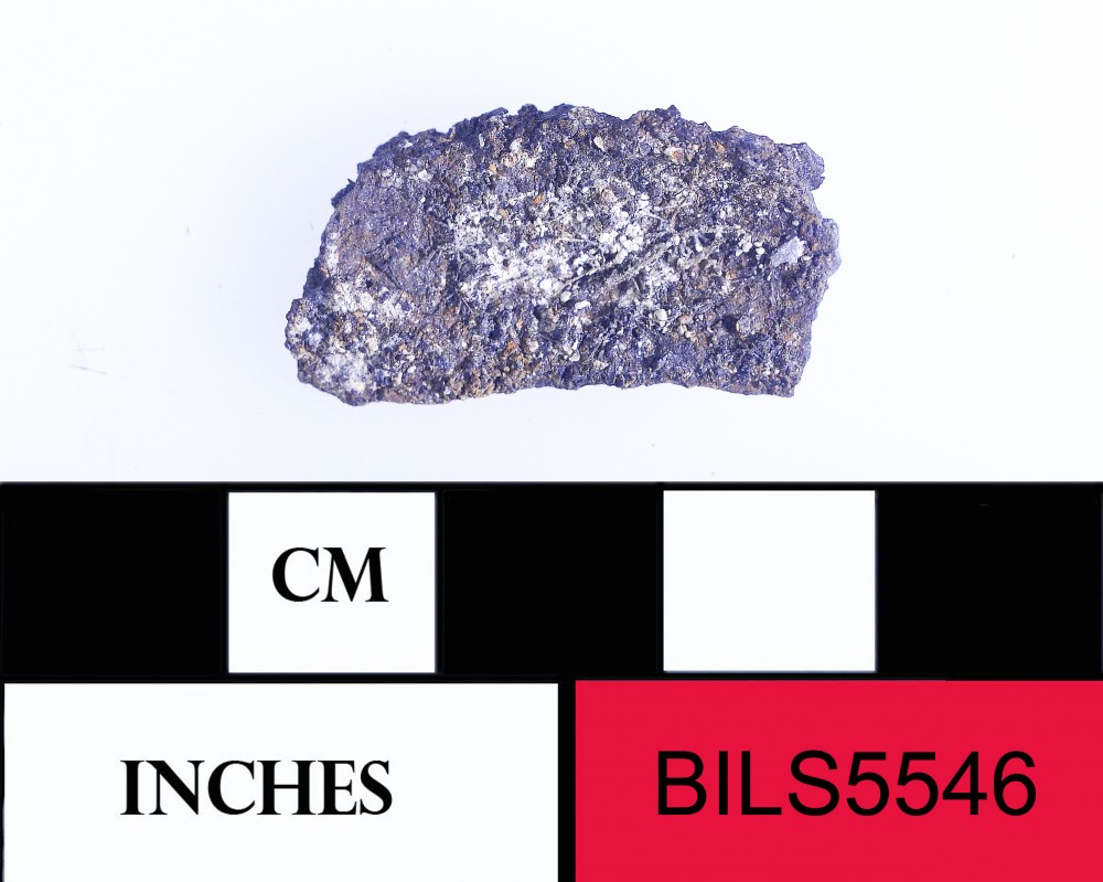 BILS5546 FERROUS artefact recovered from Beacon Island Land Site