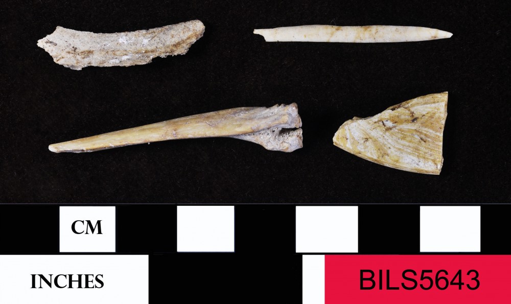 BILS5643 Animal artefact recovered from Beacon Island Land Site