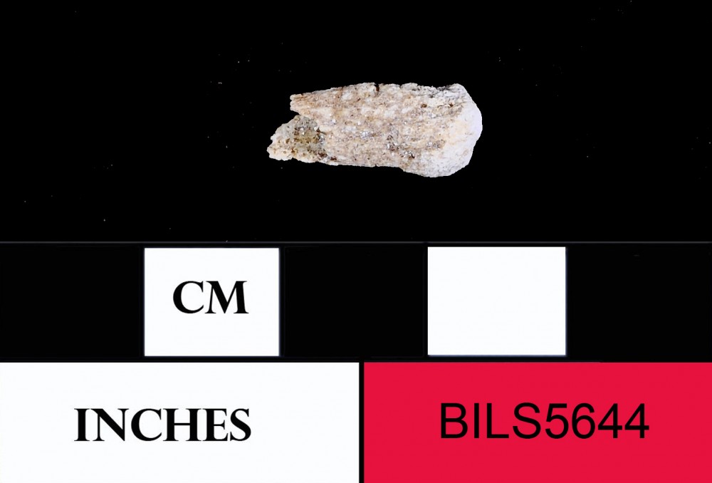 BILS5644 Human artefact recovered from Beacon Island Land Site