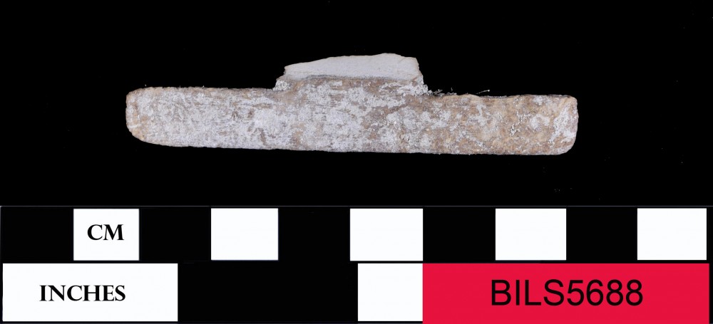 BILS5688 Animal artefact recovered from Beacon Island Land Site