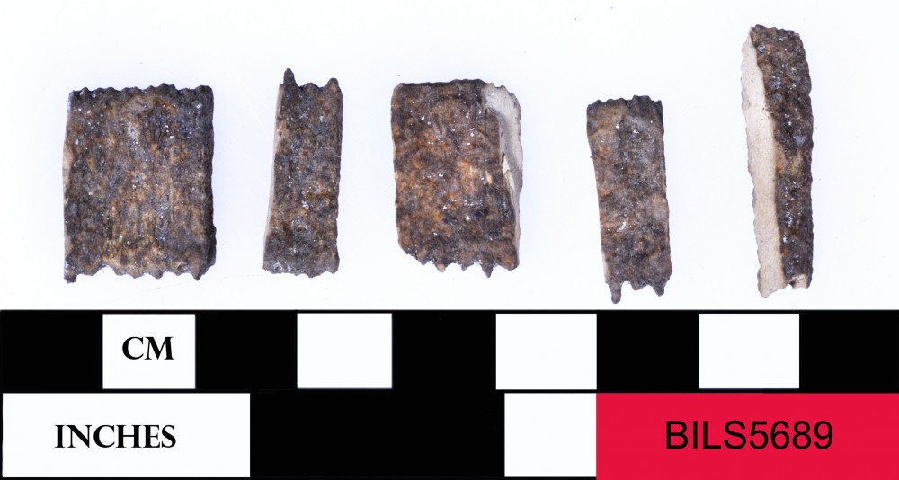 Animal artefact recovered from Beacon Island Land Site