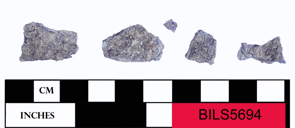BILS5694 UNKNOWN artefact recovered from Beacon Island Land Site