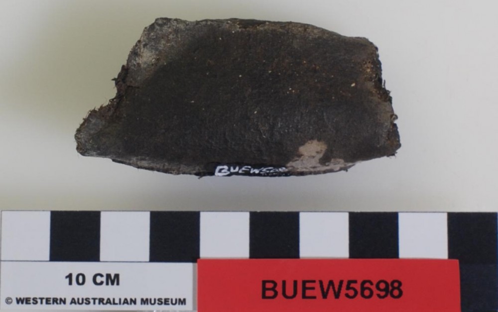 BUEW5698 Ship's timber artefact recovered from Bunbury Excavation West