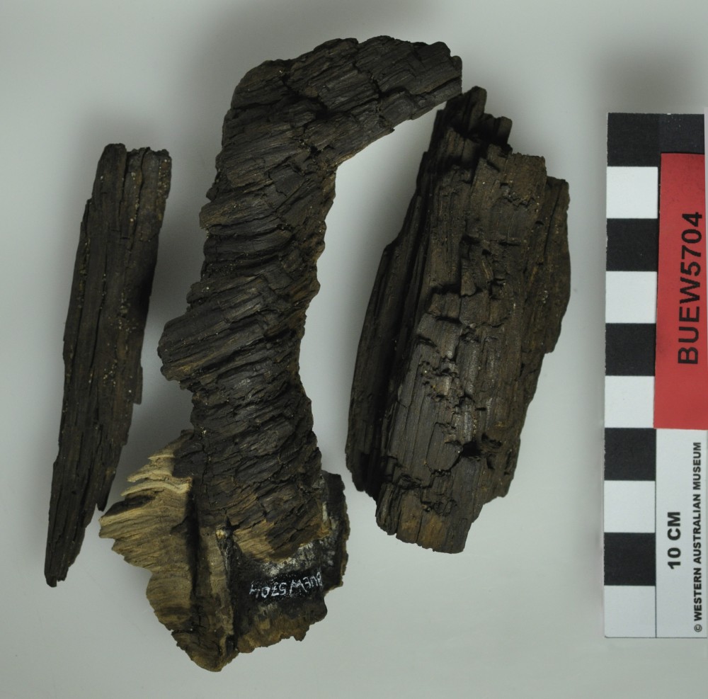 Ship's timber artefact recovered from Bunbury Excavation West