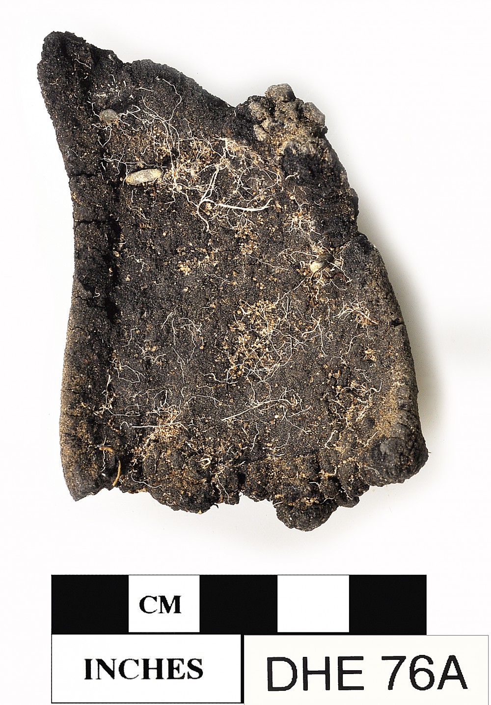 DHE76a Rope/leather/etc. artefact recovered from Dirk Hartog Excavation
