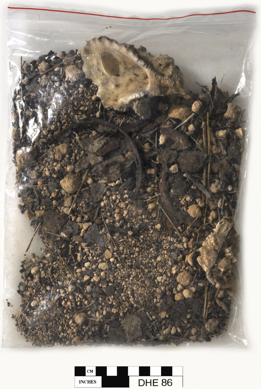 DHE86 Tin artefact recovered from Dirk Hartog Excavation