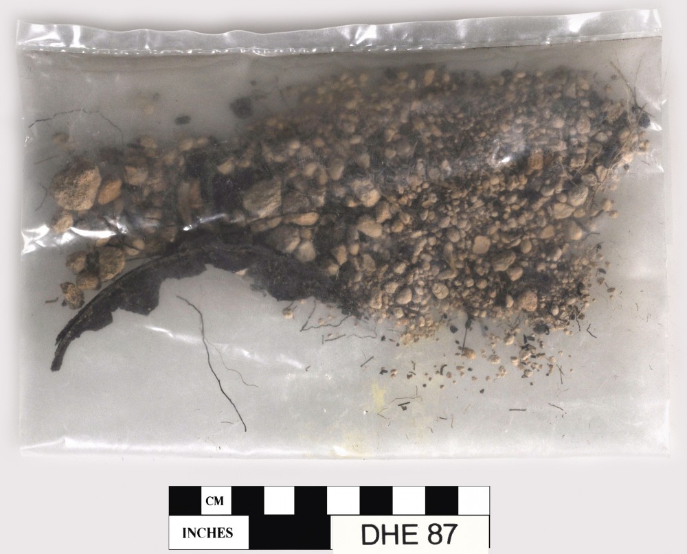 Tin artefact recovered from Dirk Hartog Excavation