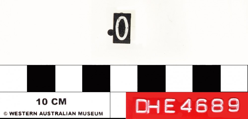 DHE4689 General artefact recovered from Dirk Hartog Excavation