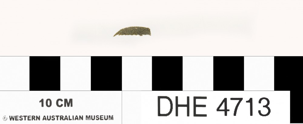 DHE4713 Marine artefact recovered from Dirk Hartog Excavation