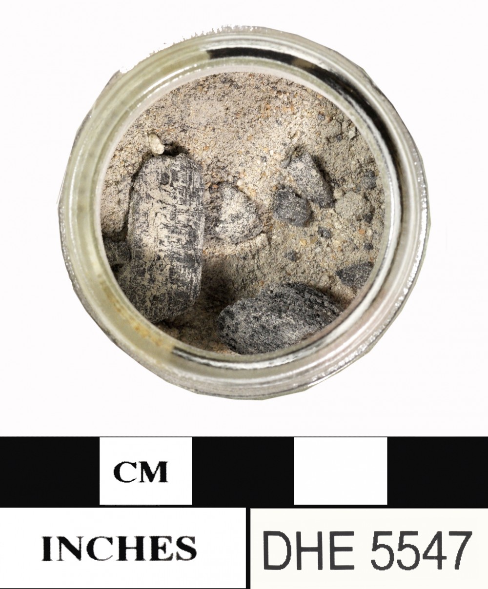 DHE5547 General artefact recovered from Dirk Hartog Excavation