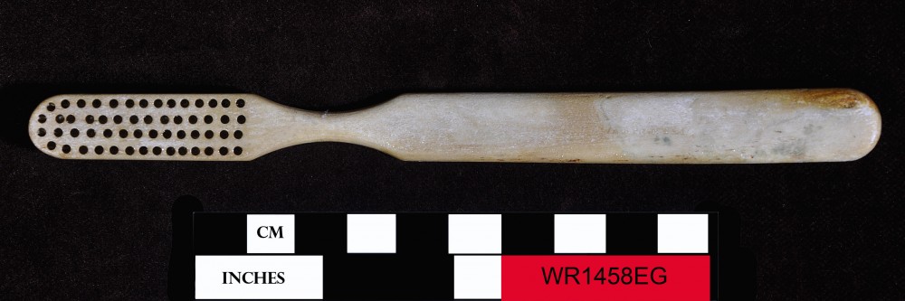 EG1458 Animal artefact recovered from Eglinton