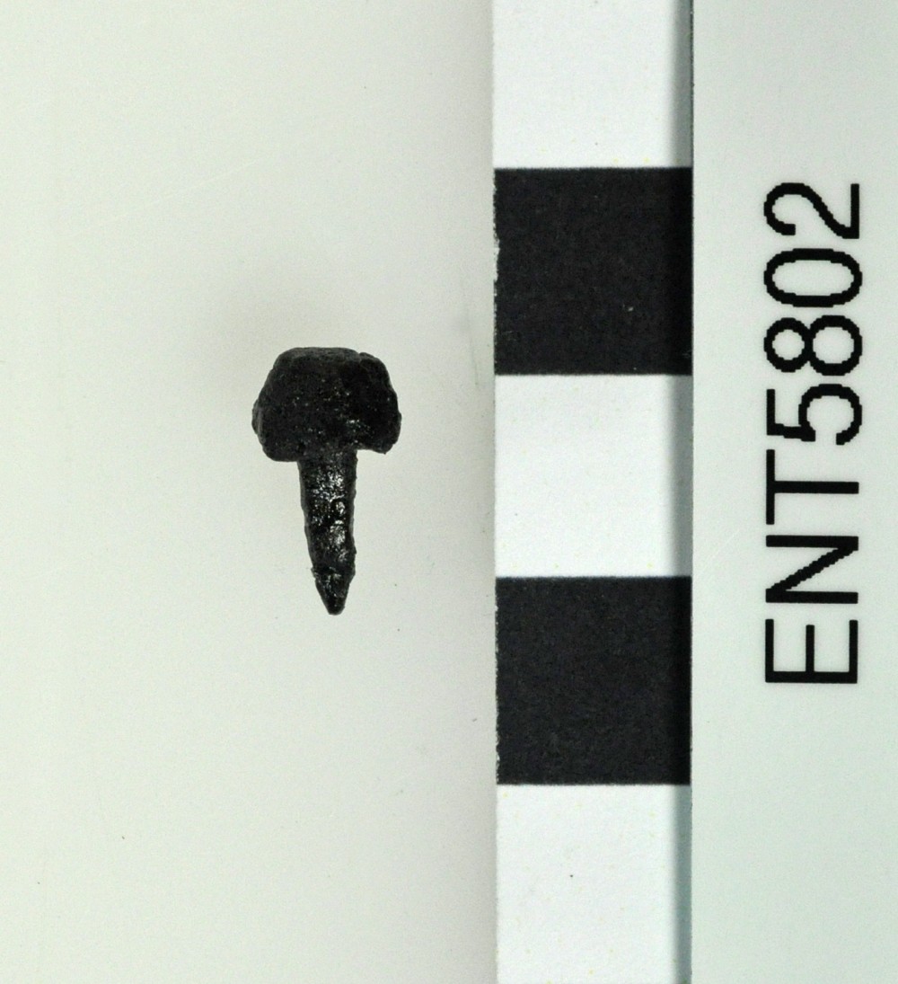 Miscellaneous/Unidentified artefact recovered from Eagle’s Nest