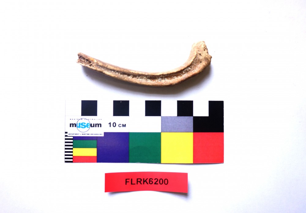 Animal artefact recovered from Flat Rock Unid