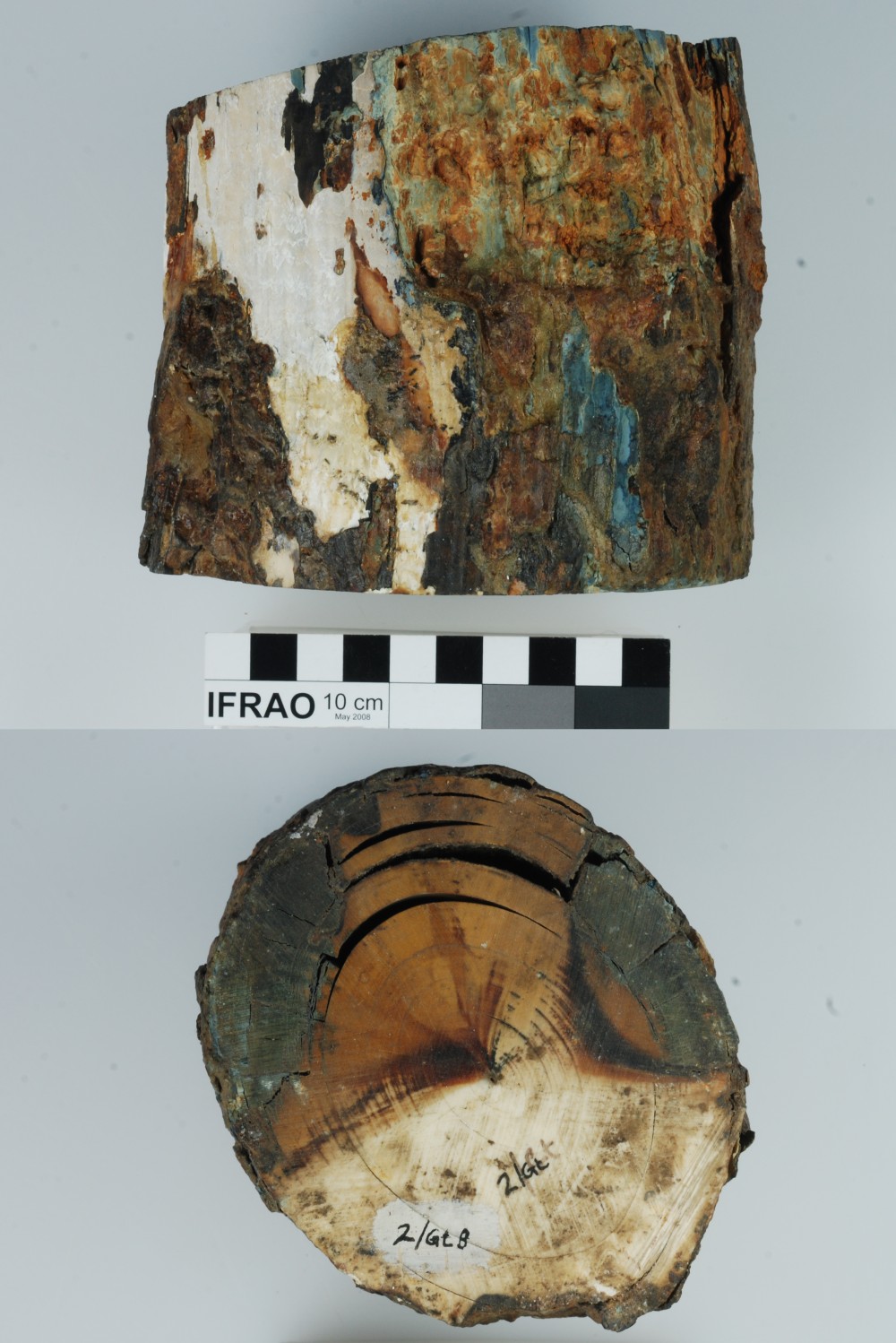 Animal artefact recovered from Vergulde Draeck (Gilt Dragon)