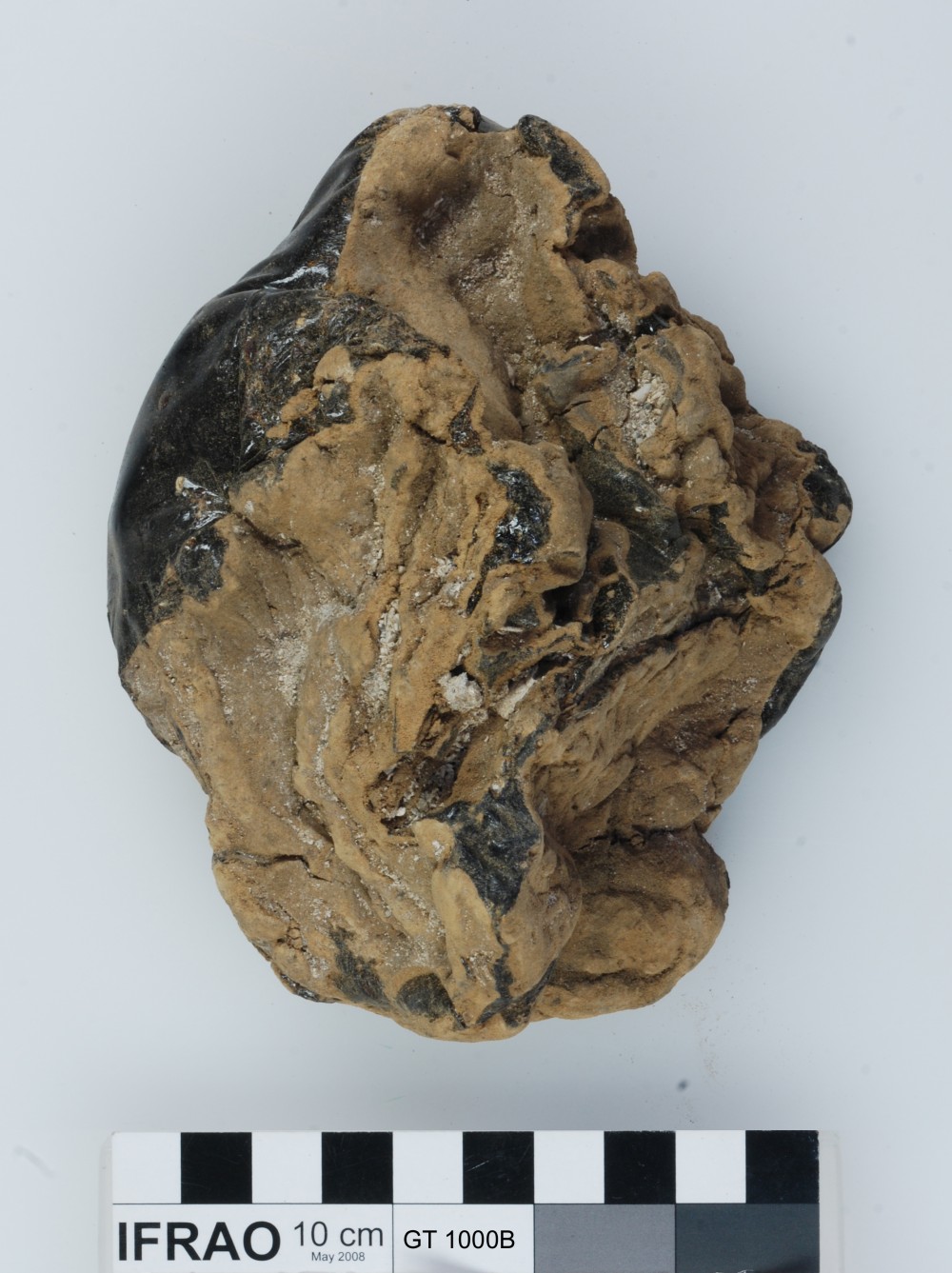 Pitch/tar/oil artefact recovered from Vergulde Draeck (Gilt Dragon)