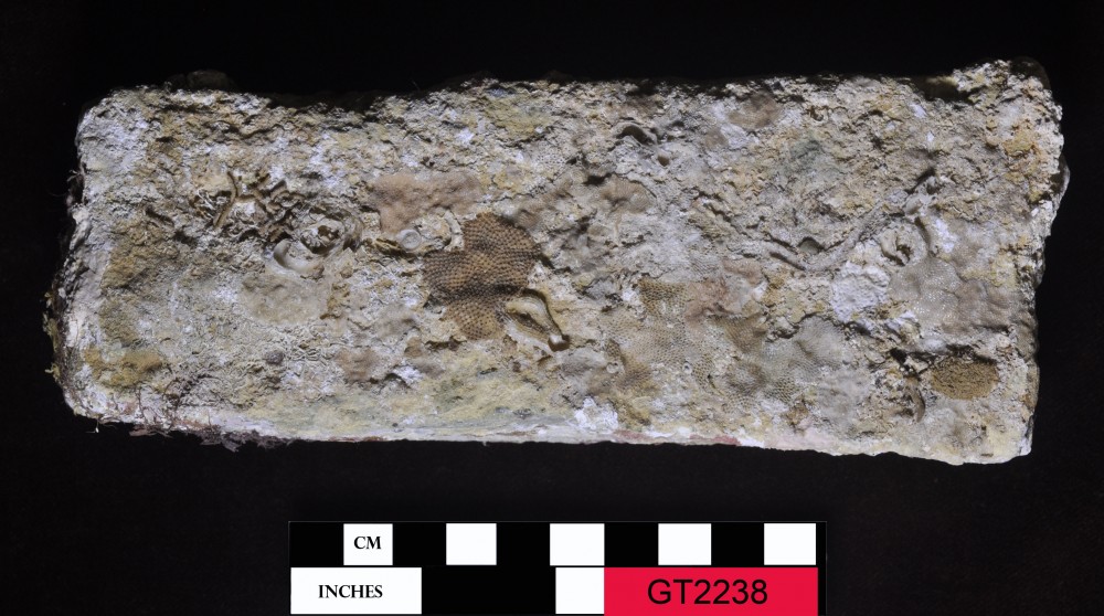 GT2238 Bricks artefact recovered from Vergulde Draeck (Gilt Dragon)