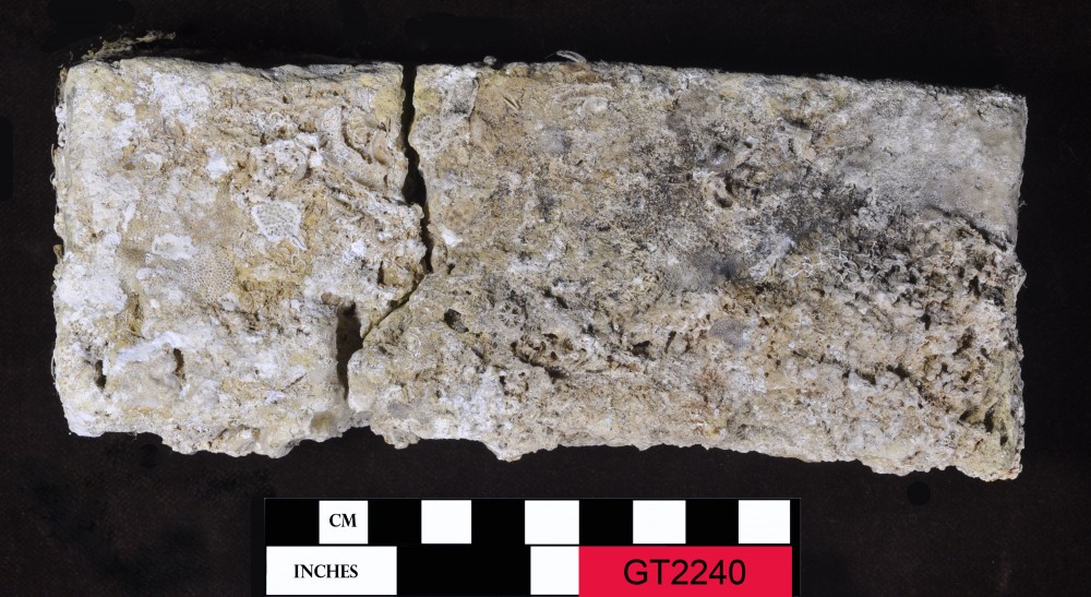 GT2240 Bricks artefact recovered from Vergulde Draeck (Gilt Dragon)