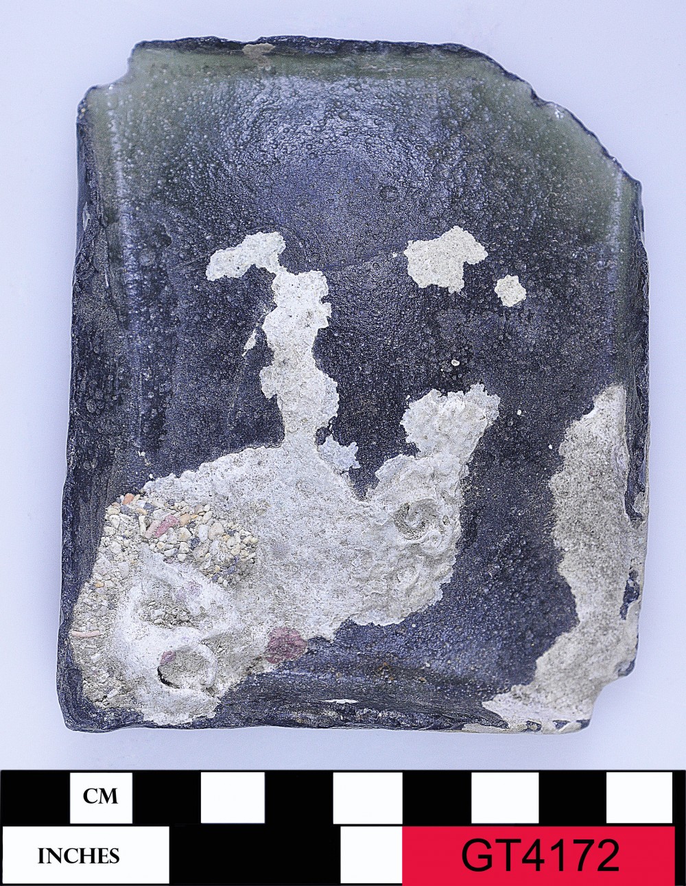 GT4172 Glass artefact recovered from Vergulde Draeck (Gilt Dragon)