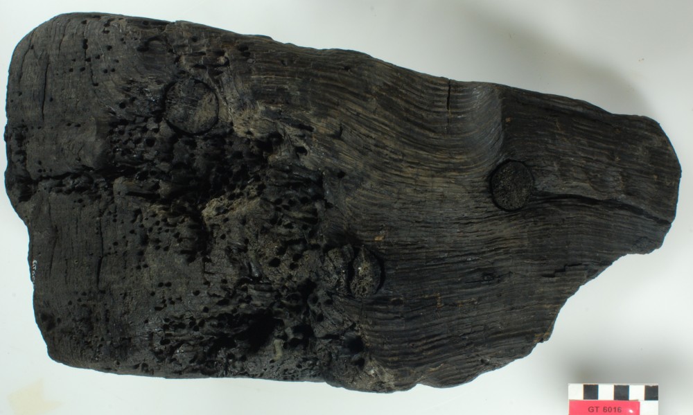 Ship's timber artefact recovered from Vergulde Draeck (Gilt Dragon)