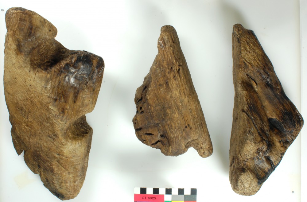 GT6025 Ship's timber artefact recovered from Vergulde Draeck (Gilt Dragon)