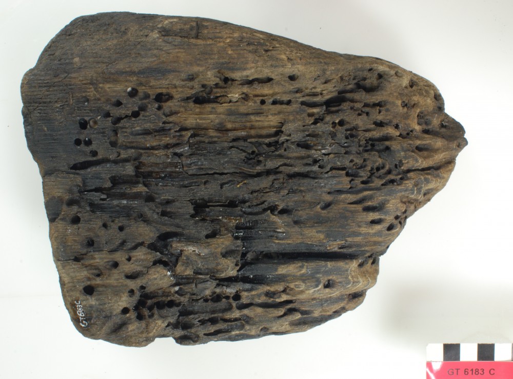 GT6183C Ship's timber artefact recovered from Vergulde Draeck (Gilt Dragon)