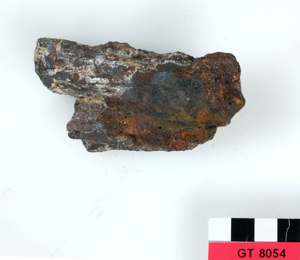 Ship's fittings artefact recovered from Vergulde Draeck (Gilt Dragon)