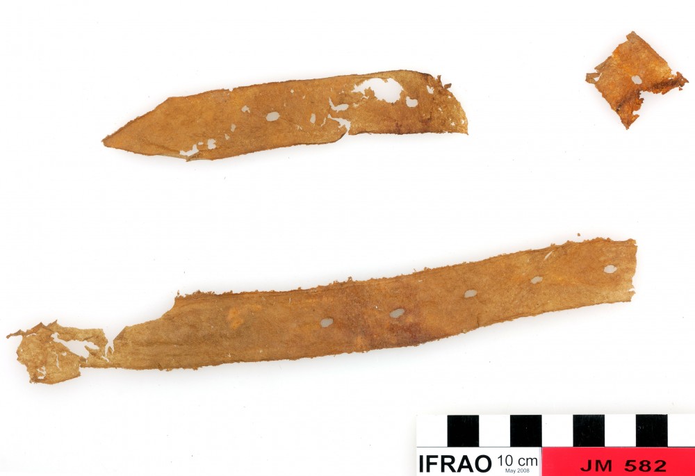 Rope/leather/etc. artefact recovered from James Matthews