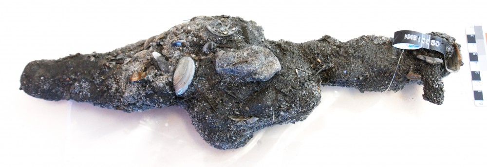 Concretions artefact recovered from Samuel Wright