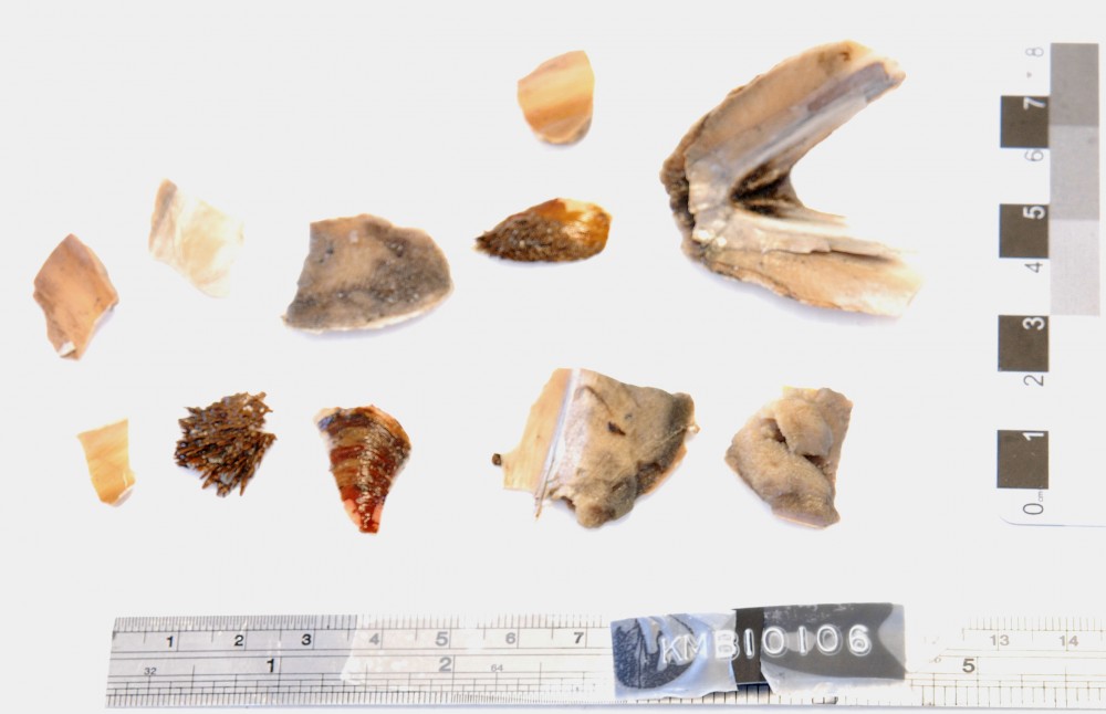 KMB1106 Marine artefact recovered from Samuel Wright