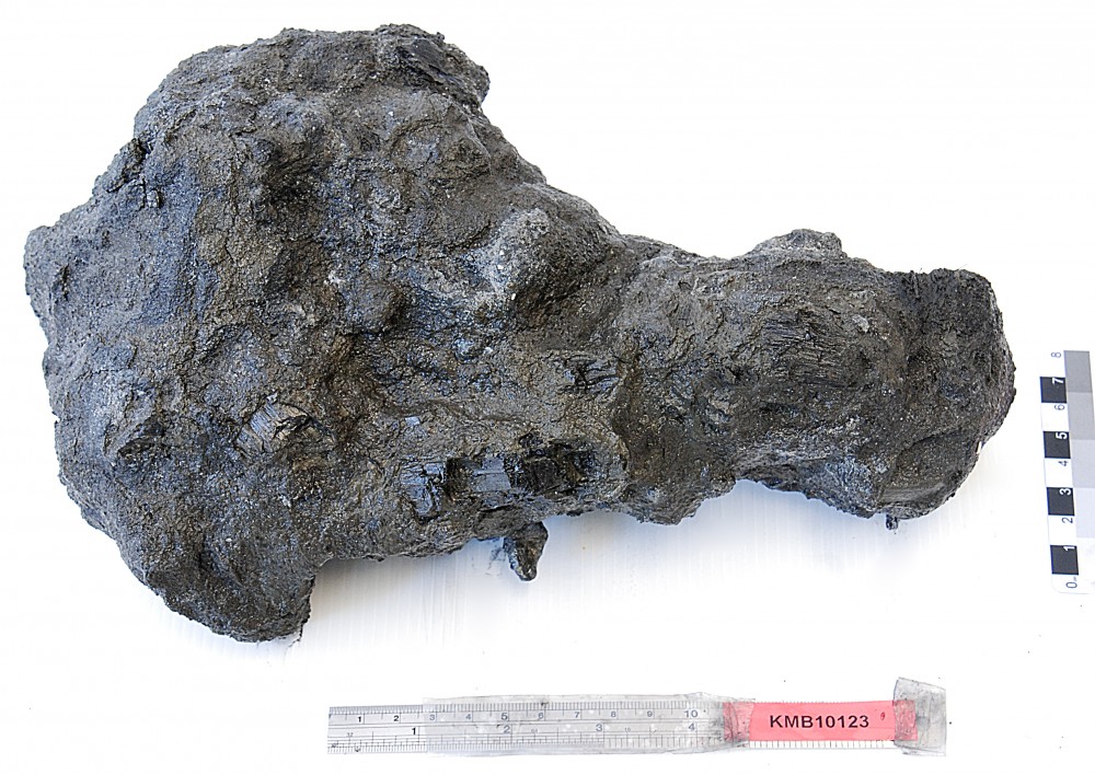 KMB1123 Concretions artefact recovered from Samuel Wright