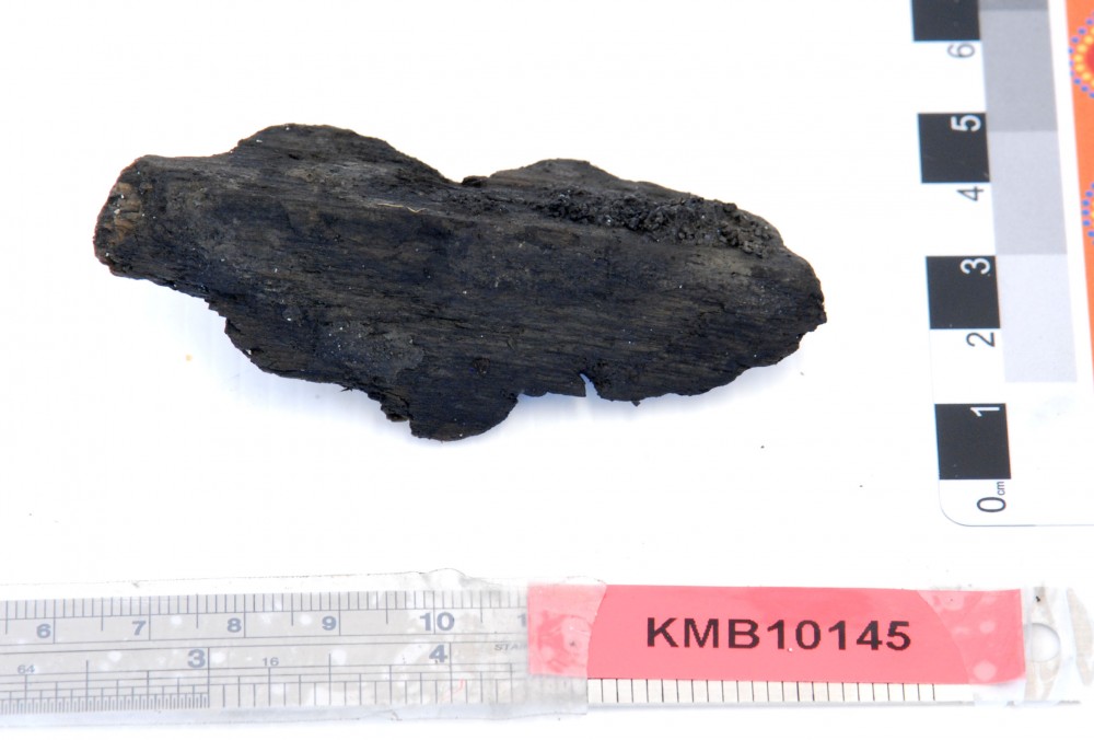 Ship's timber artefact recovered from Samuel Wright