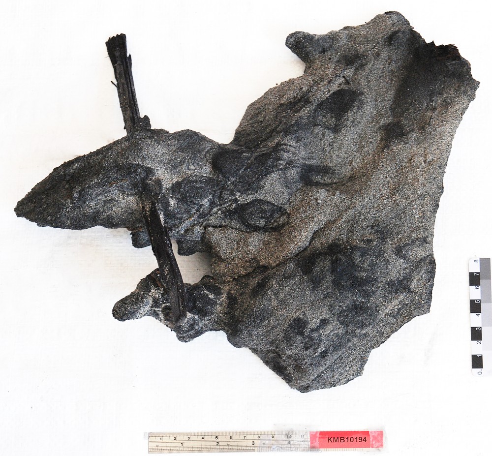 KMB1194 Concretions artefact recovered from Samuel Wright