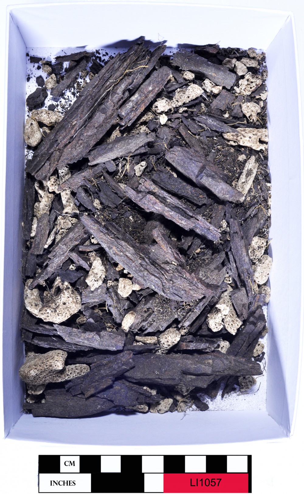LI1057 FERROUS artefact recovered from Long Island