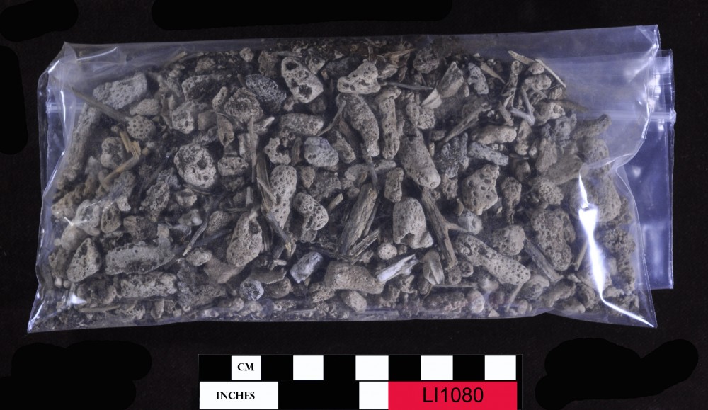 LI1080 Soil Sample artefact recovered from Long Island