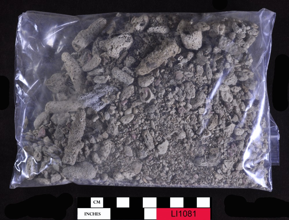 LI1081 Soil Sample artefact recovered from Long Island