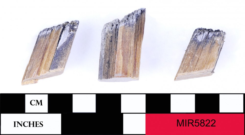 MIR5822 TIMBER artefact recovered from Middle Island Recherche