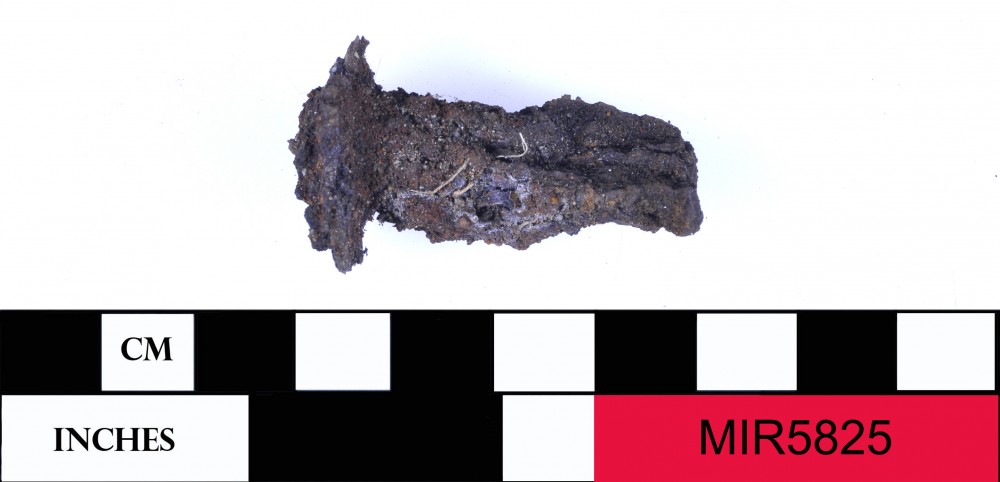 MIR5825 Tools artefact recovered from Middle Island Recherche