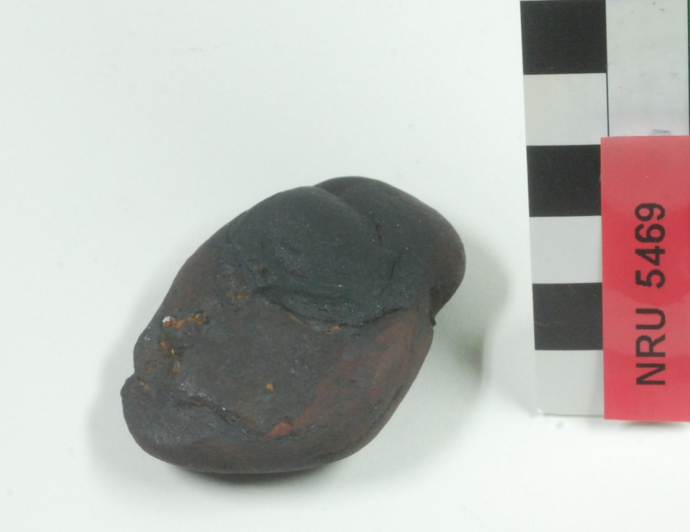 NRU5469 STONE artefact recovered from Ningaloo Reef Unidentified