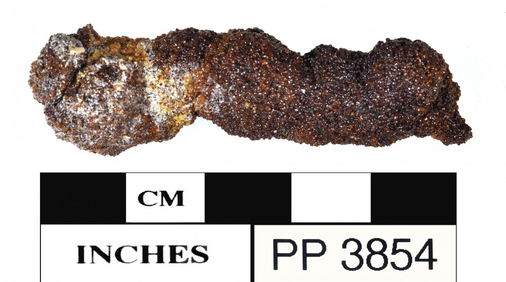 PP3854 Concretions artefact recovered from Peron Peninsula