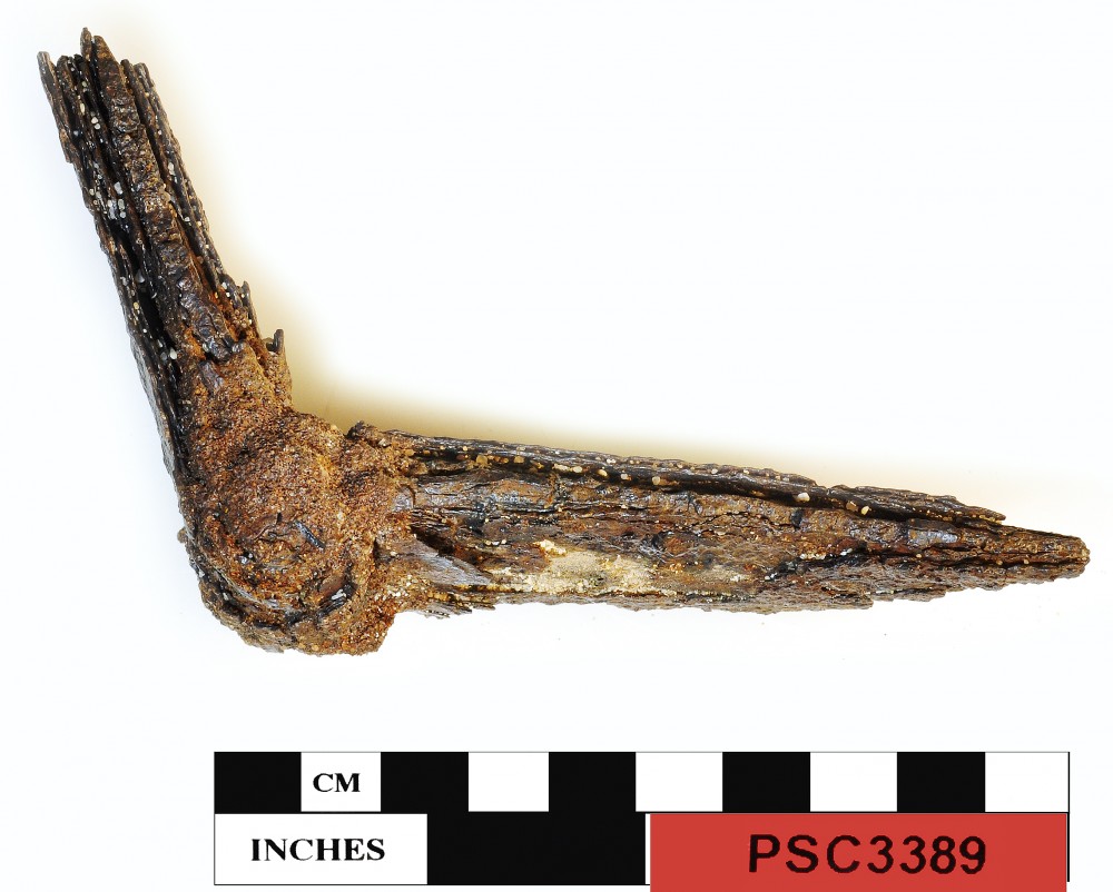 PSC3389 Ship's fittings artefact recovered from Perseverant Camp 1841