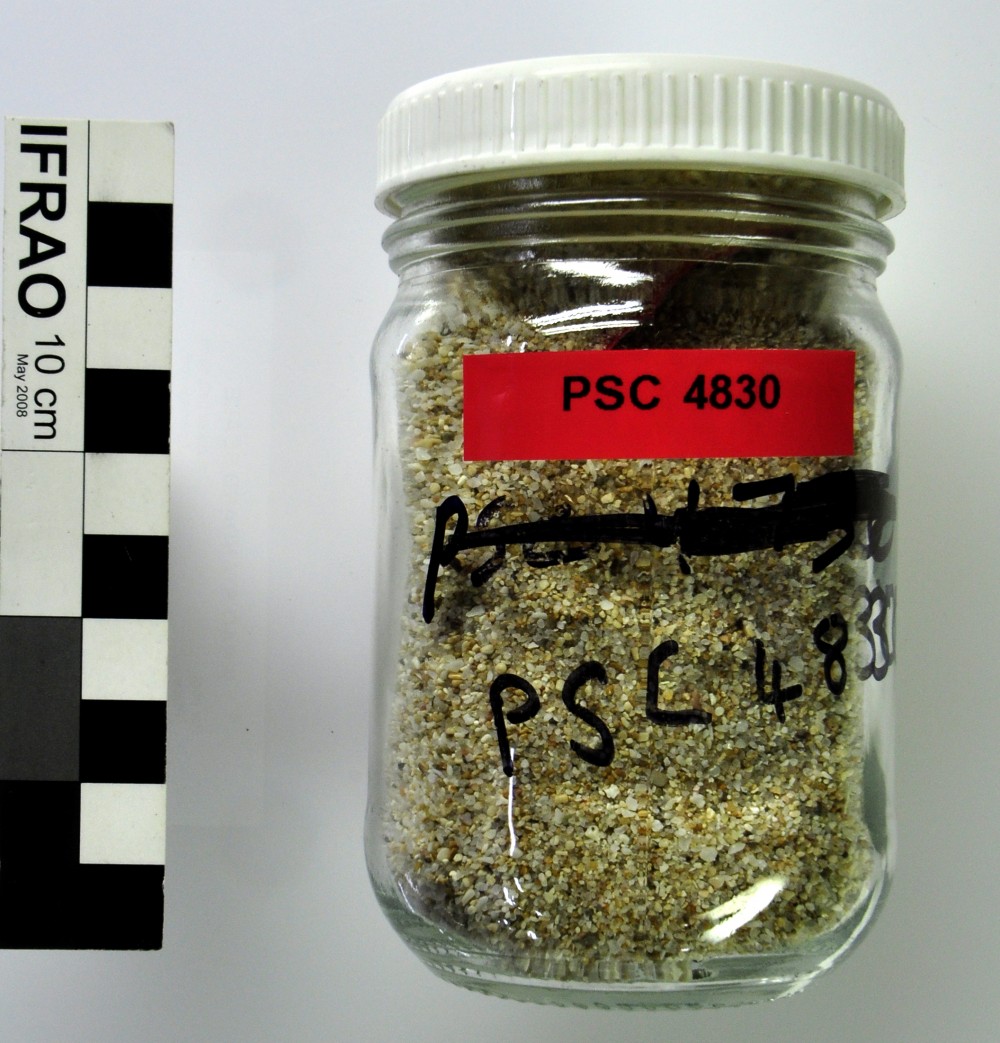 General artefact recovered from Perseverant Camp 1841