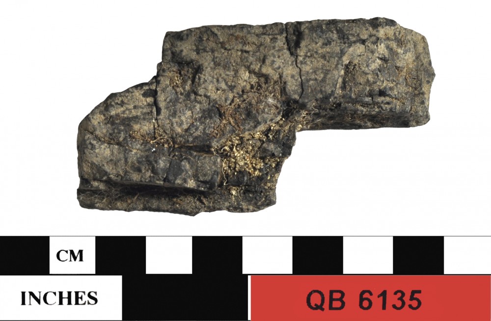 QB6135 TIMBER artefact recovered from Quoin Bluff