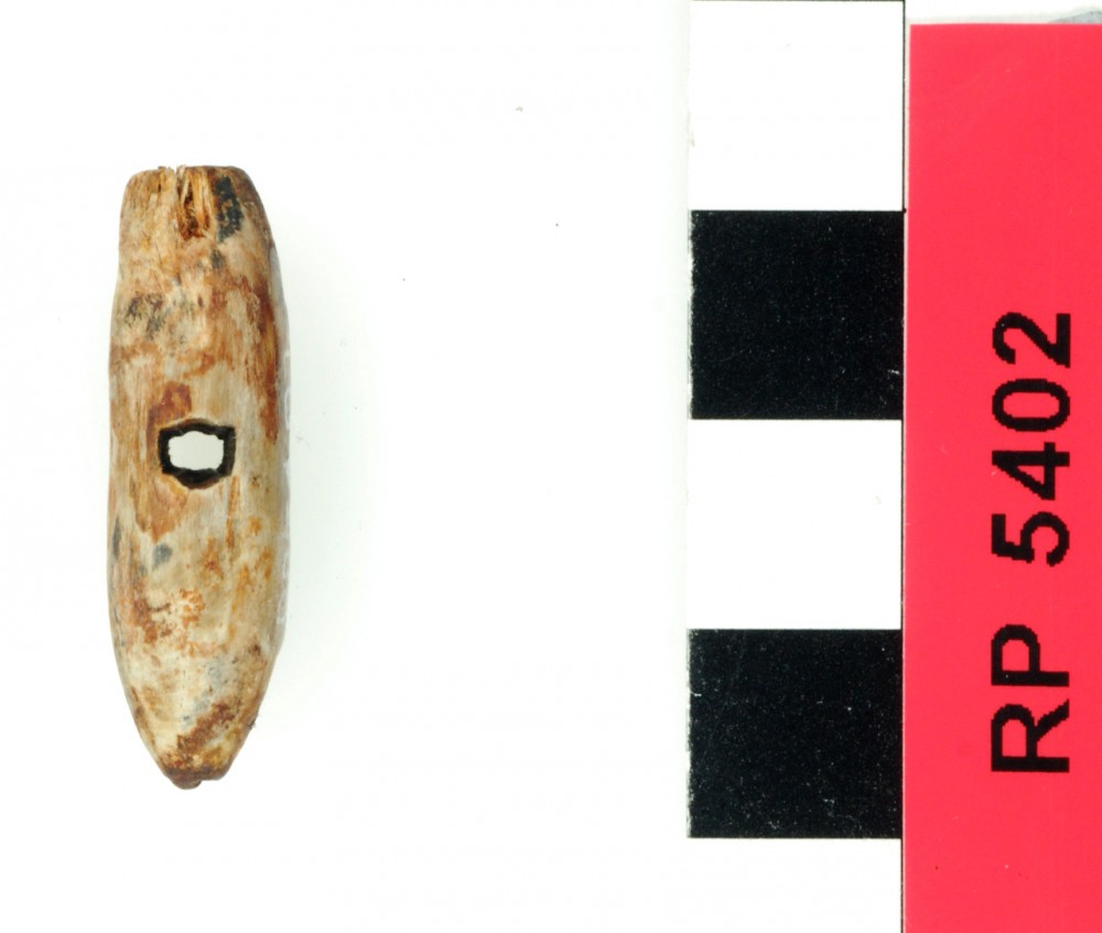 RP5402 Animal artefact recovered from Rapid