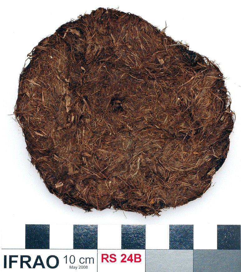 Rope/leather/etc. artefact recovered from Lively Rowley Shoals