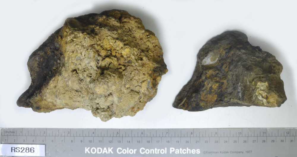 RS286 Concretions artefact recovered from Lively Rowley Shoals